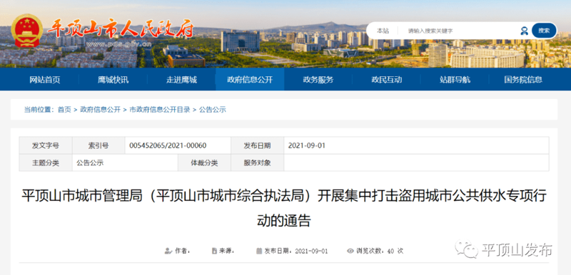 站群程序市场的最新发展洞察